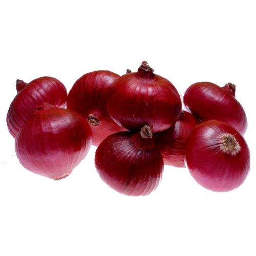 onion bawang merah
